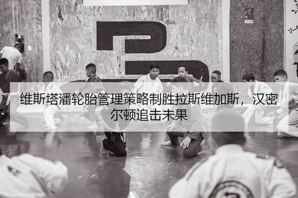维斯塔潘轮胎管理策略制胜拉斯维加斯，汉密尔顿追击未果